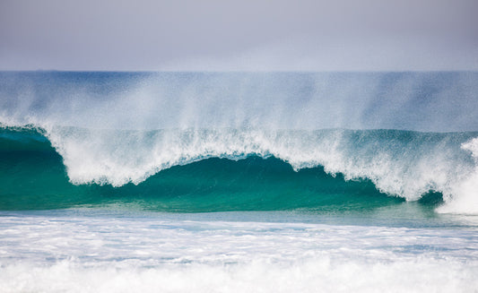Surfer's dream