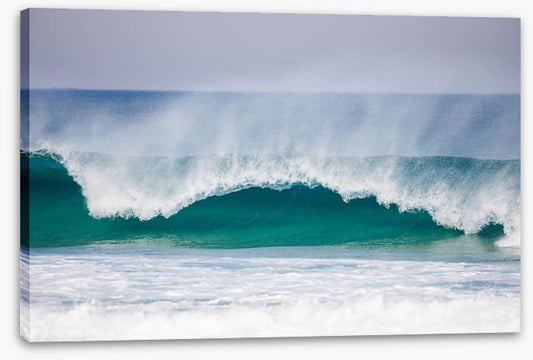 Surfer's dream
