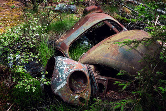 Forgotten by time