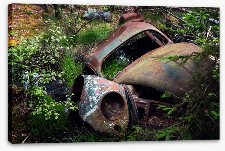 Forgotten by time