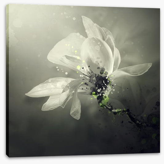 Jasmine scent