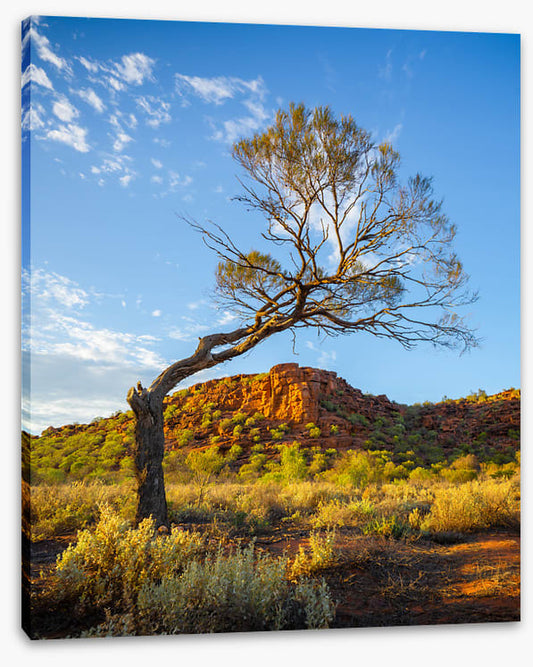 Outback