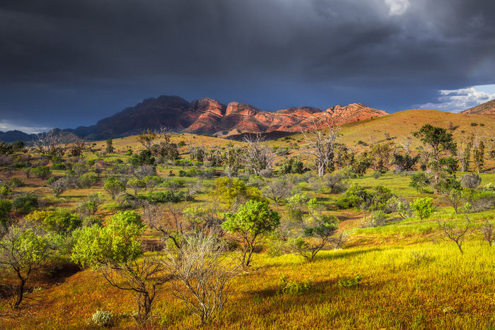Stormy sunlight