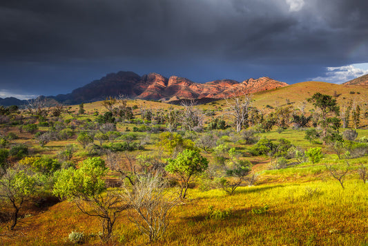 Stormy sunlight