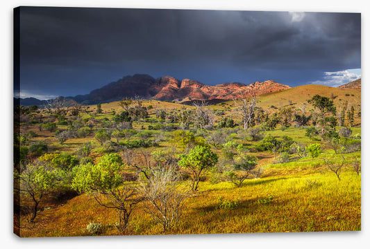 Stormy sunlight