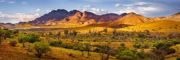 Flinders beauty panorama