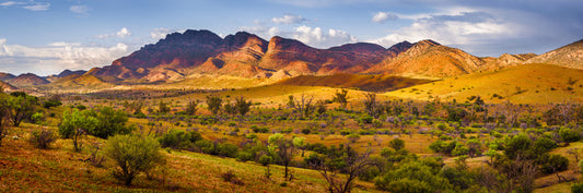Flinders beauty panorama