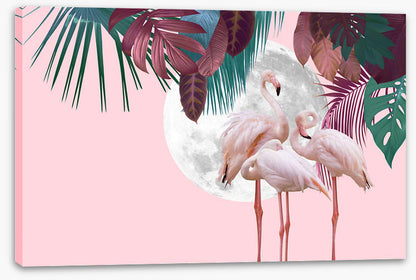 Full moon flamingos