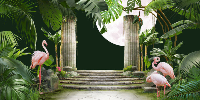 Flamingo moon