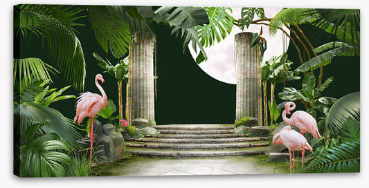 Flamingo moon