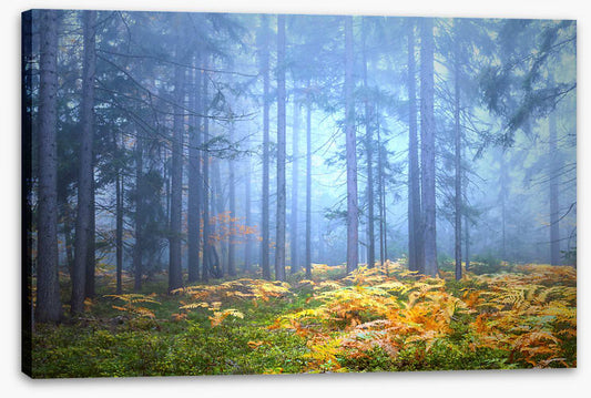 Golden fern forest