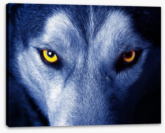 Wild wild wolf
