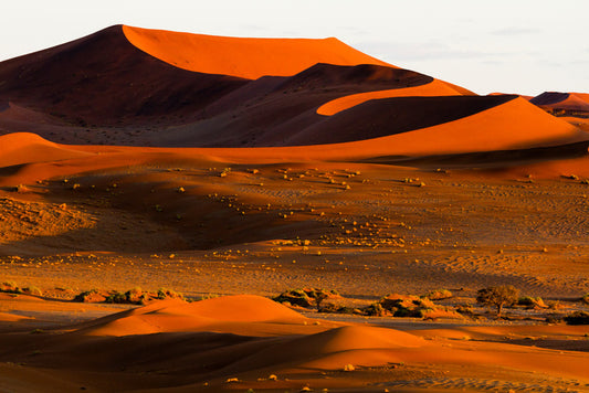 Desert