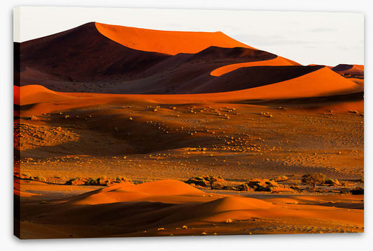 Desert