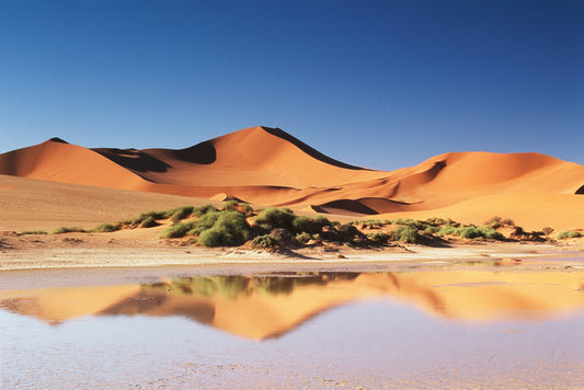 Shimmering sands