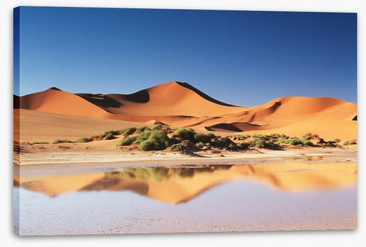Shimmering sands