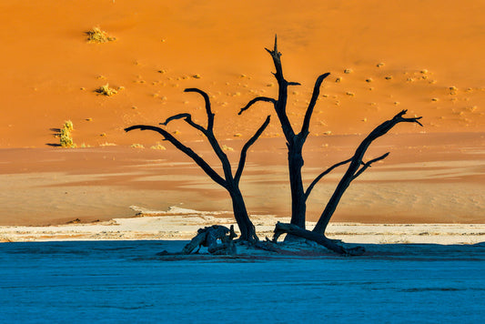 Africa