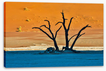 Africa