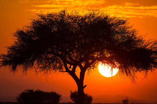Africa