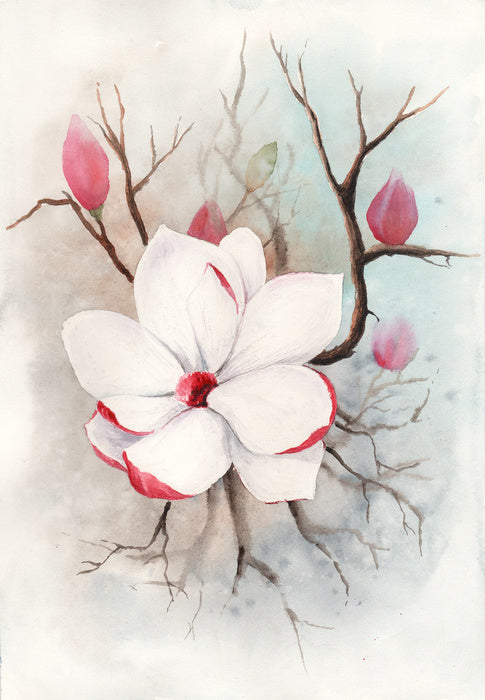 The first magnolia