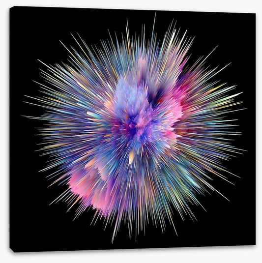 Bursting with colour 1