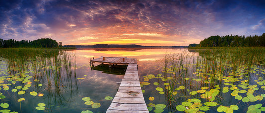 Jetty