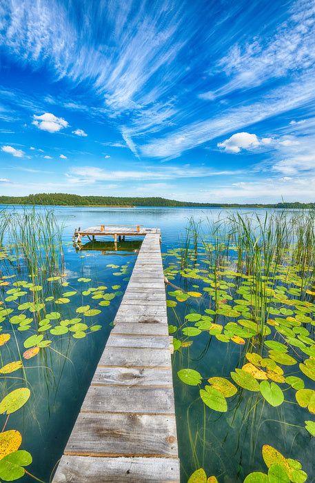 Over lily pad lake