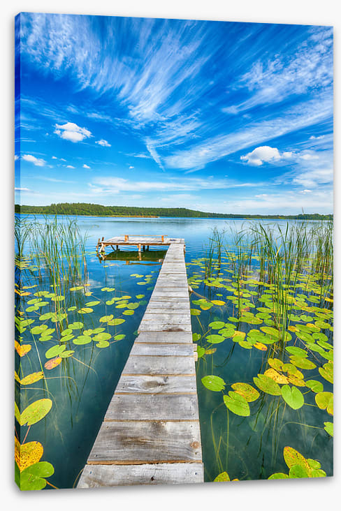 Over lily pad lake