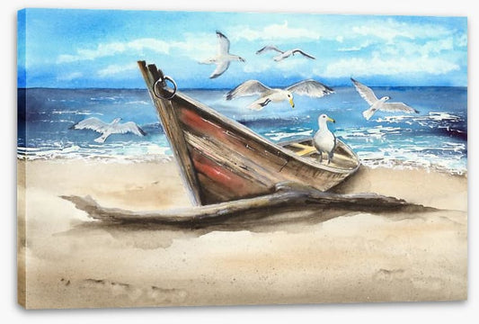 Beached with the birds