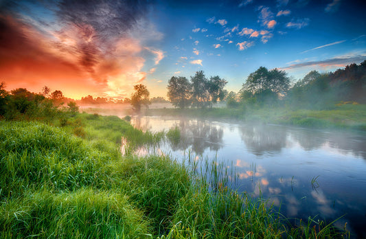 Riverbank reflections