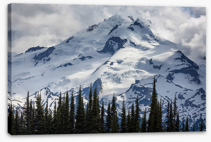 Enveloped by cloud