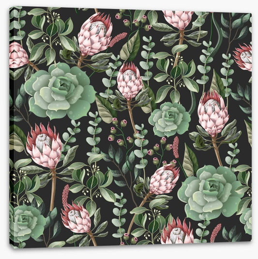 Pink protea leaves