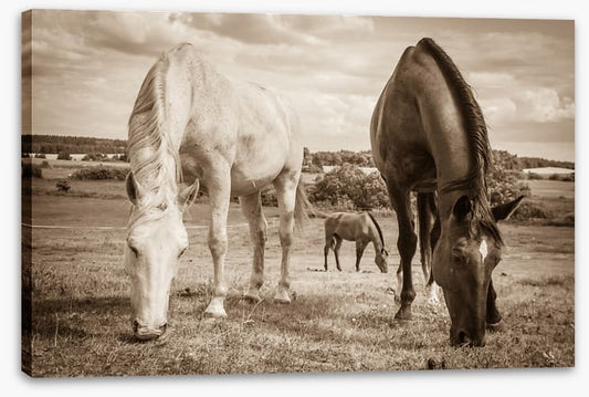 Graceful grazing