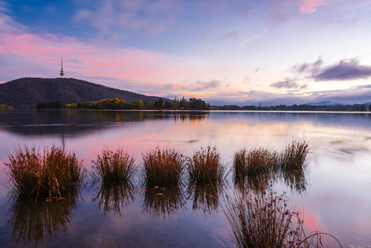 Calm in Canberra