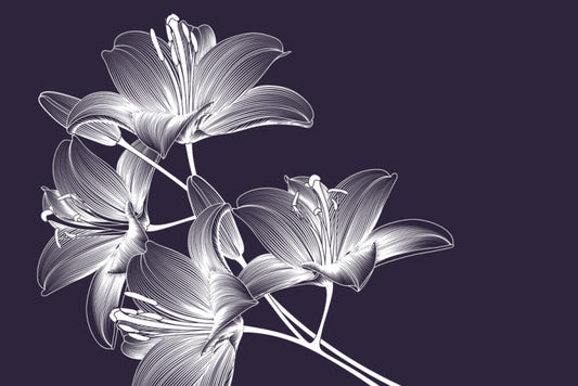 Moonlight lilies
