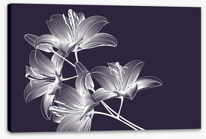 Moonlight lilies