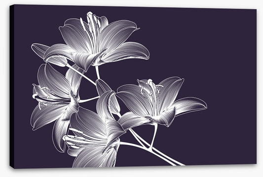 Moonlight lilies
