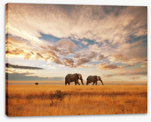 Safari for two