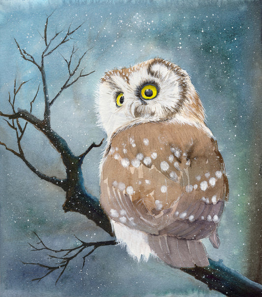 The night owl