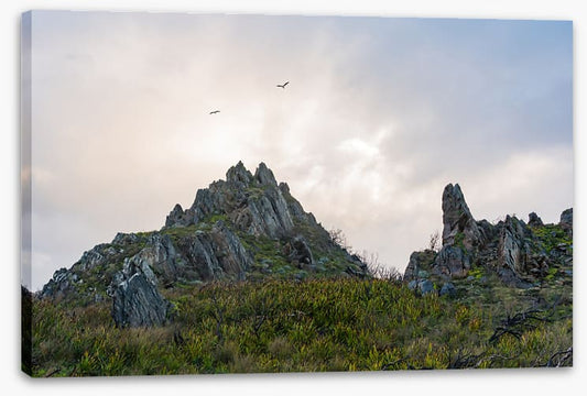 As birds fly