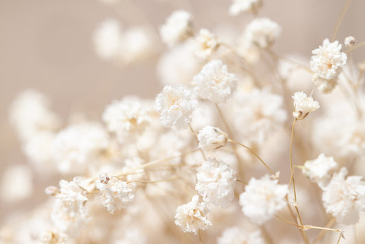 Tender wild