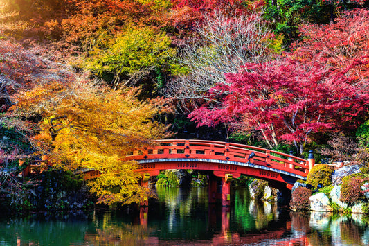 Kyoto fall