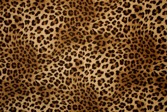 Animal Print