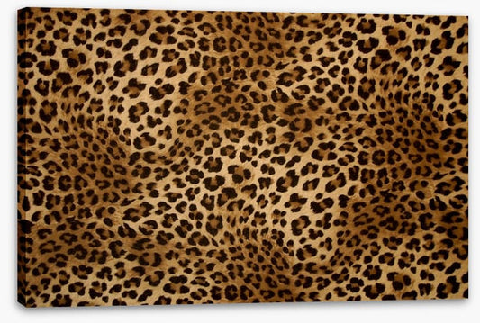 Animal Print
