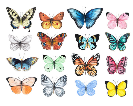 Butterflies