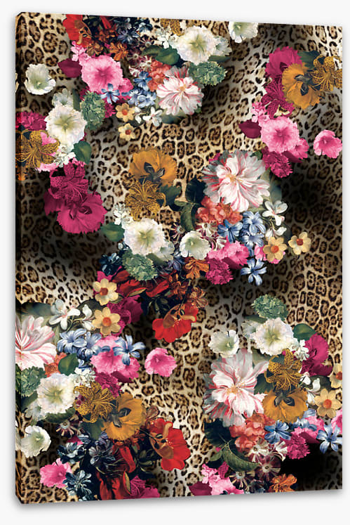 Leopard blooms