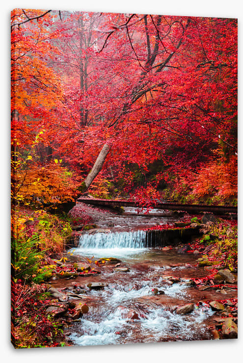 Scarlet forest falls