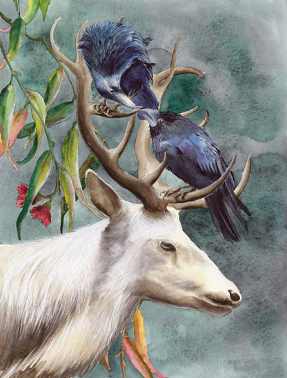Animals