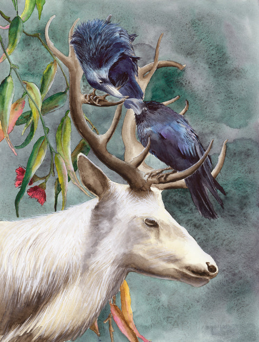 Animals