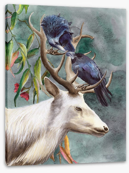 Animals